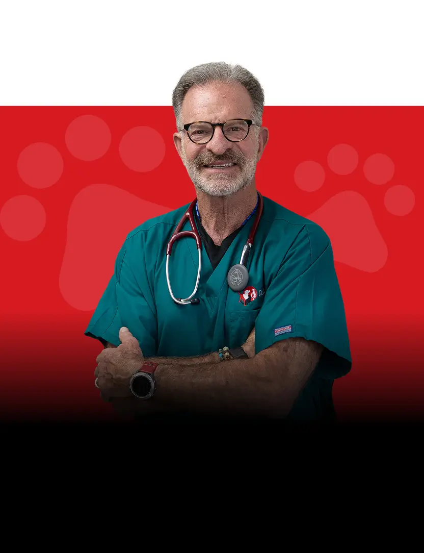 Ep.24 – Q&A with Dr. Randy: Pet Fireworks Anxiety, Pet Care Mistakes, Stress in Pets, Rattlesnake Bites