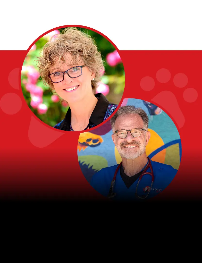 Ep.13 – The Top 5 Exercises for Geriatric Dogs, the First Underwater Treadmill, and More with Dr. Laurie McCauley