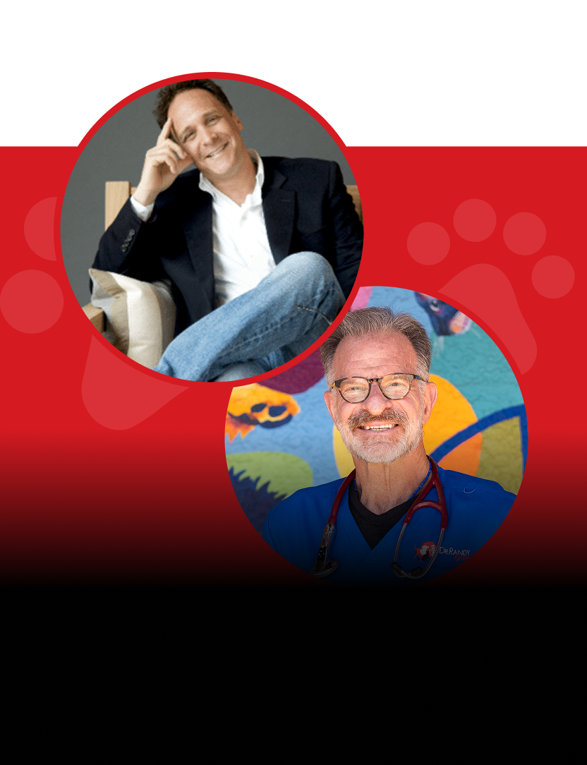 Ep.22 – Q&A: Incessant Paw Licking, Treatment of Hotspots, Chronic Renal Failure, and More.