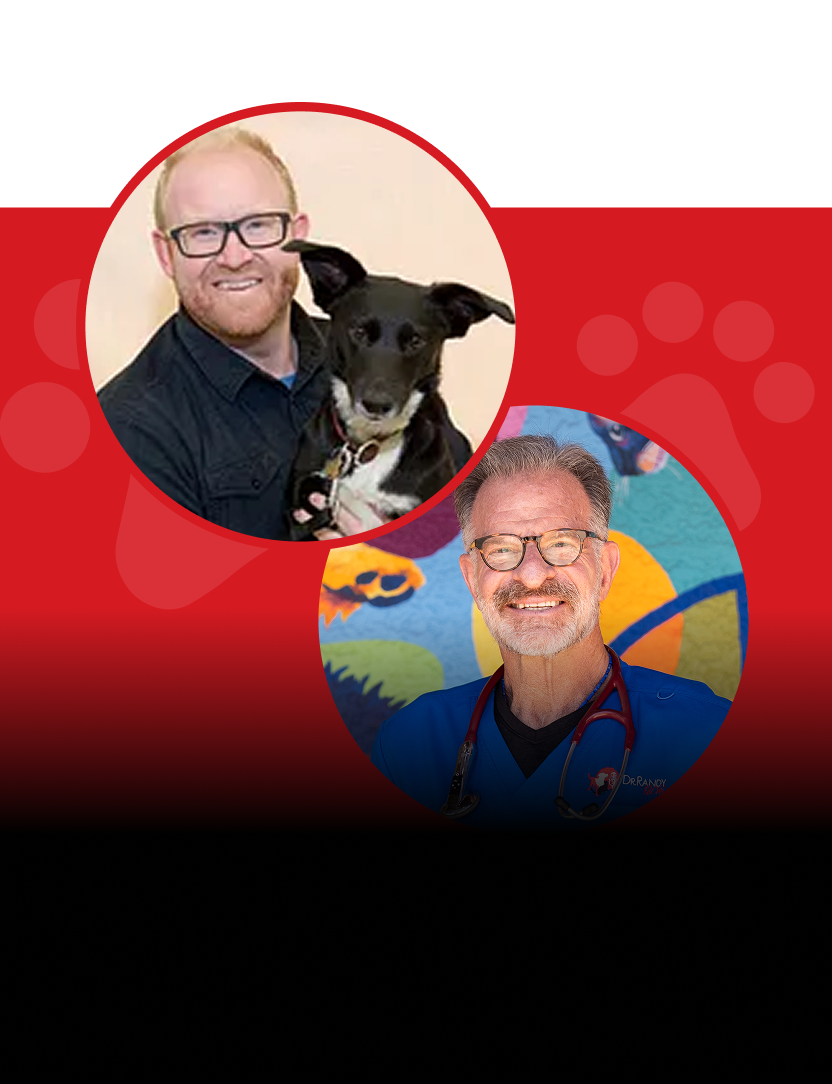 Ep.17 – Lifestages Part 2: Focusing on Behavior and Wellness In Your Pet’s Adolescent Years with Drew Webster, CBDC