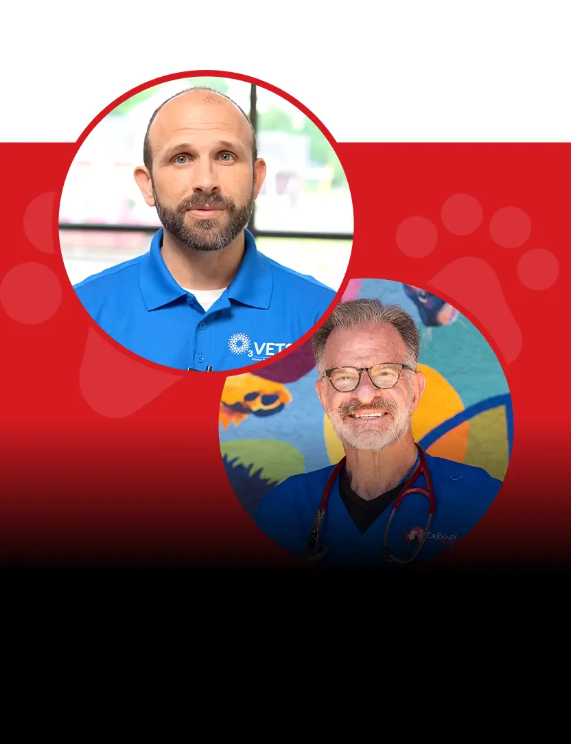 Ep.18 – How Ozone Therapy Can Help Your Pet with Jonathan Lowe