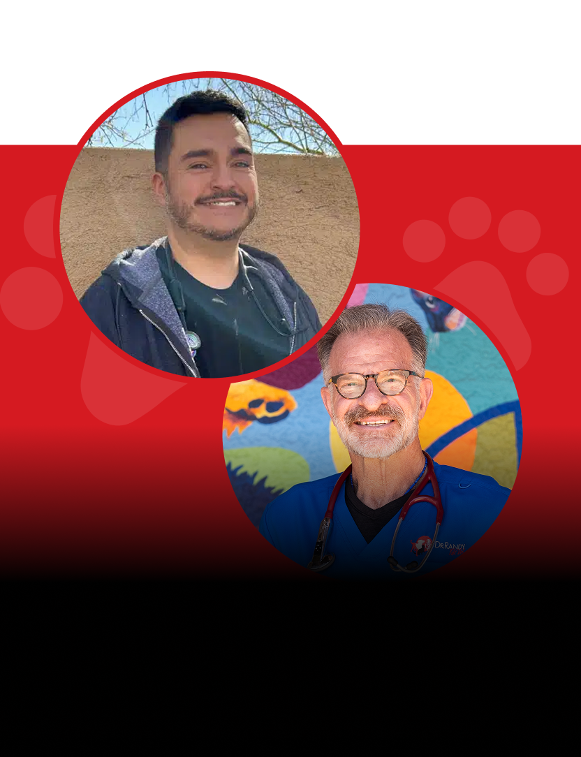 Ep.21 – Understanding Your Cat: Behavior and Care with Dr. Gabe Benitez