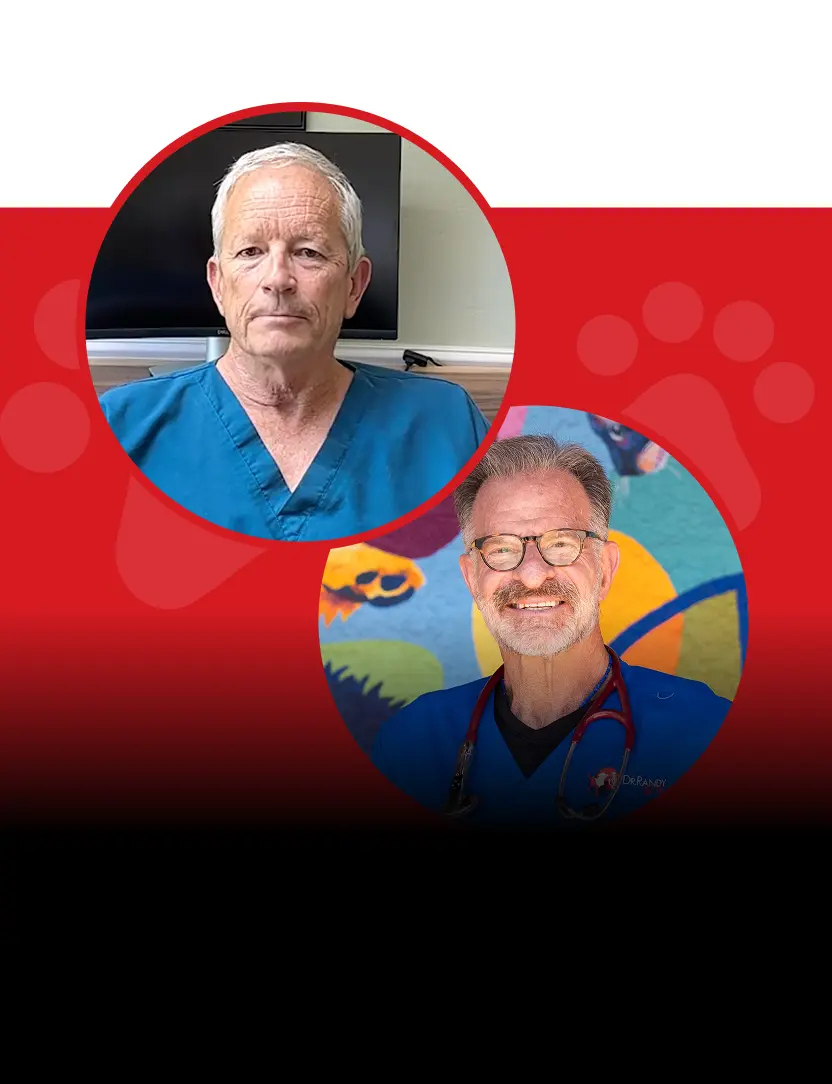 Ep.23 – Integrative Approaches in Veterinary Medicine with Dr. Kevin Toman