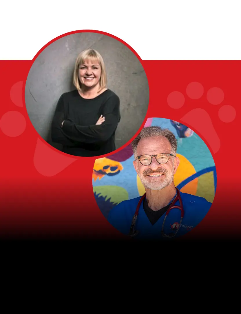 Ep.26 – The Silent Enemy: Inflammation in Pets