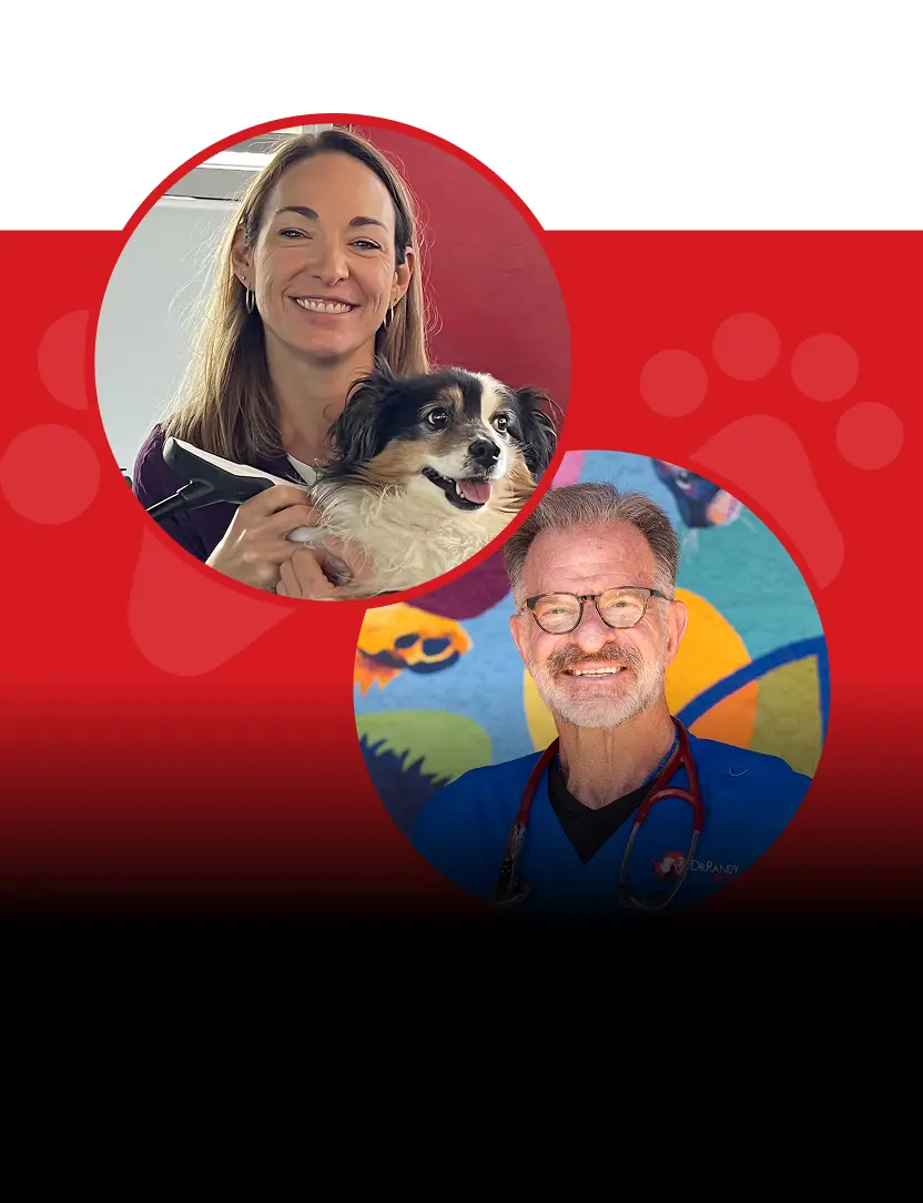 Ep.28 – Is Your Pet Hiding Its Pain from You? Awareness and action are the key.