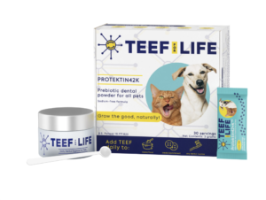Vegan Dental Kit from Teef for all pets